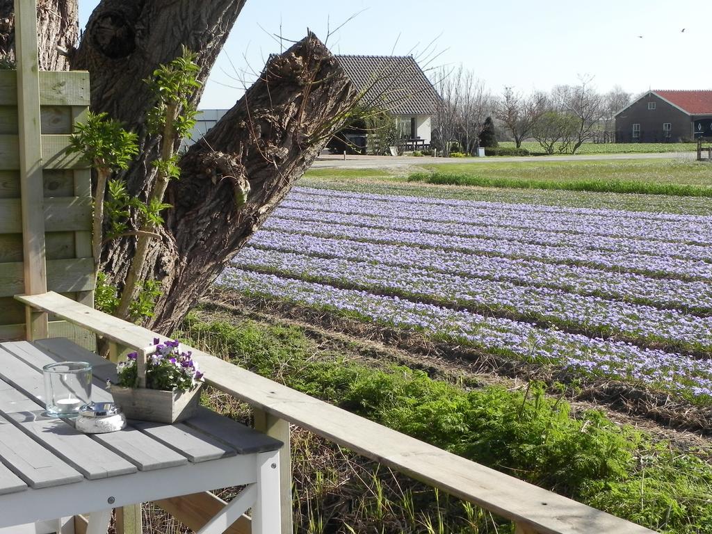 Appels En Peren Bed And Breakfast Breezand Pokoj fotografie