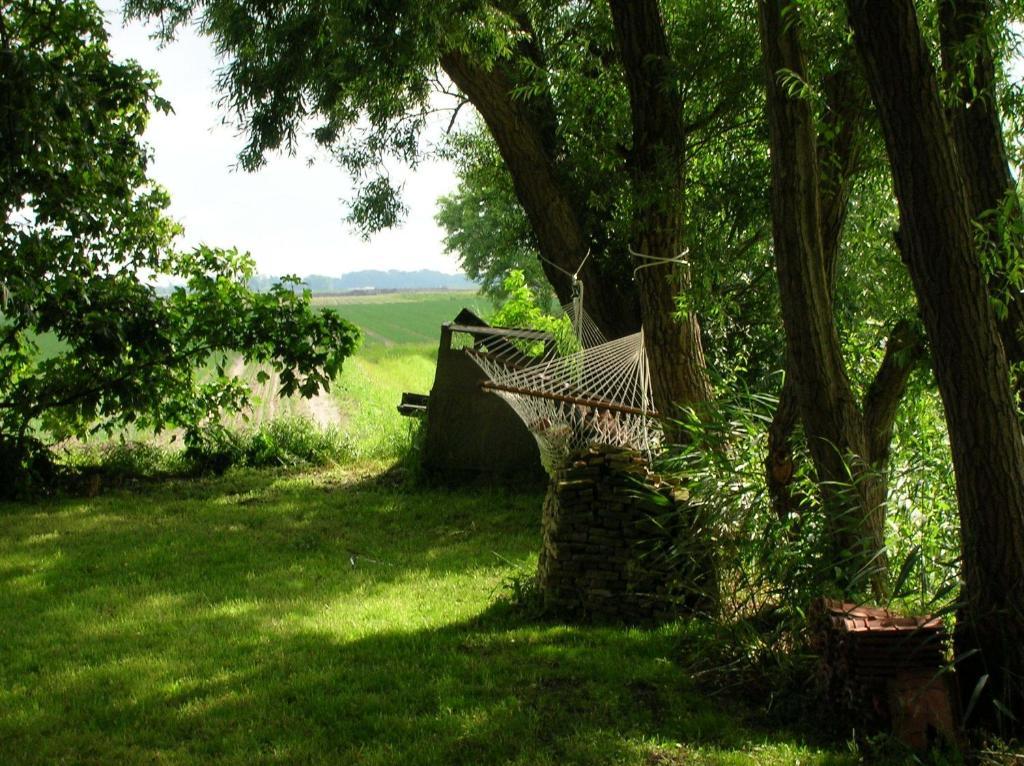 Appels En Peren Bed And Breakfast Breezand Pokoj fotografie