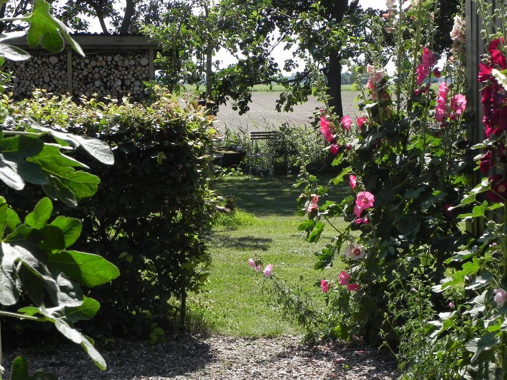 Appels En Peren Bed And Breakfast Breezand Pokoj fotografie