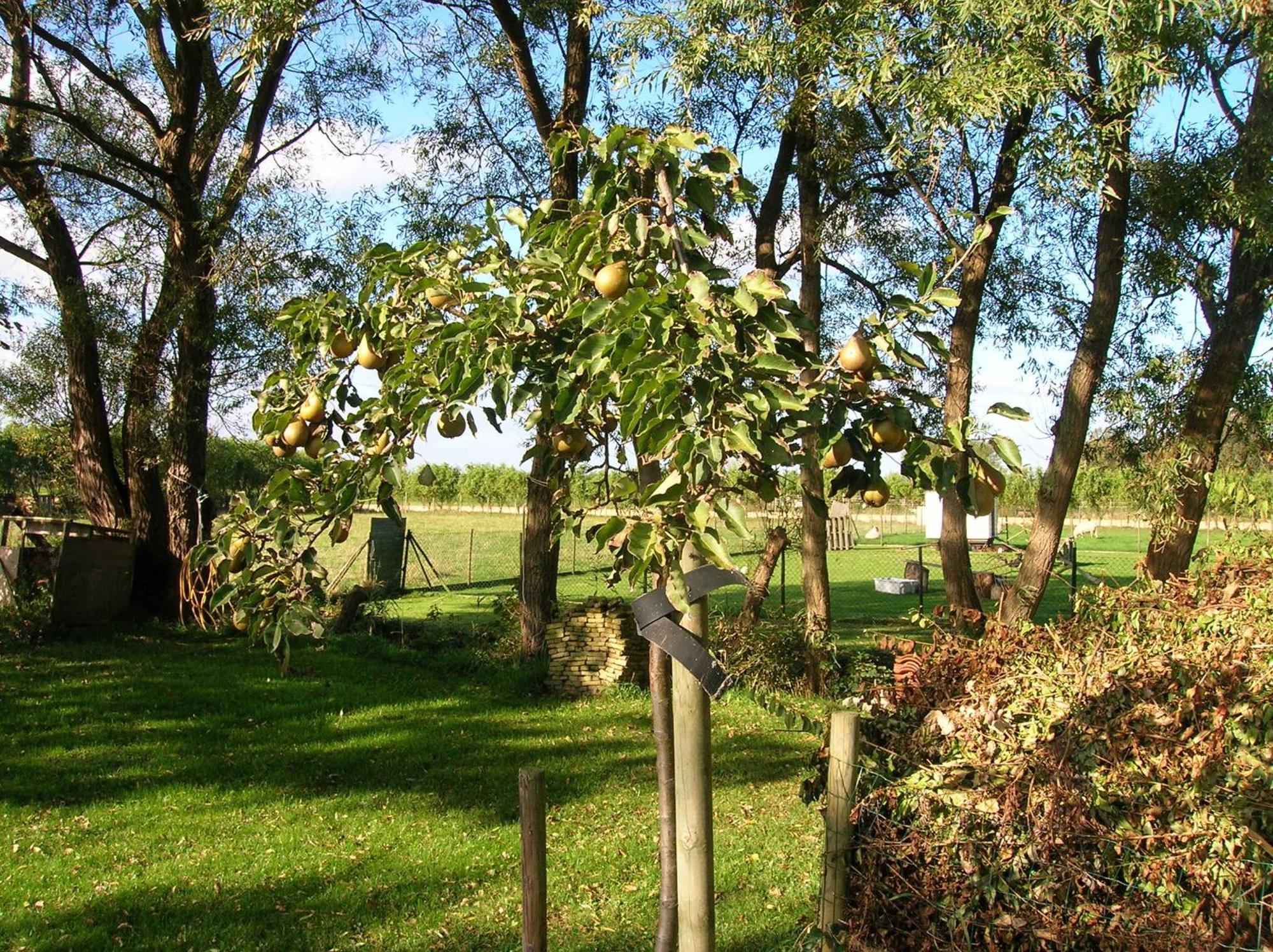 Appels En Peren Bed And Breakfast Breezand Exteriér fotografie