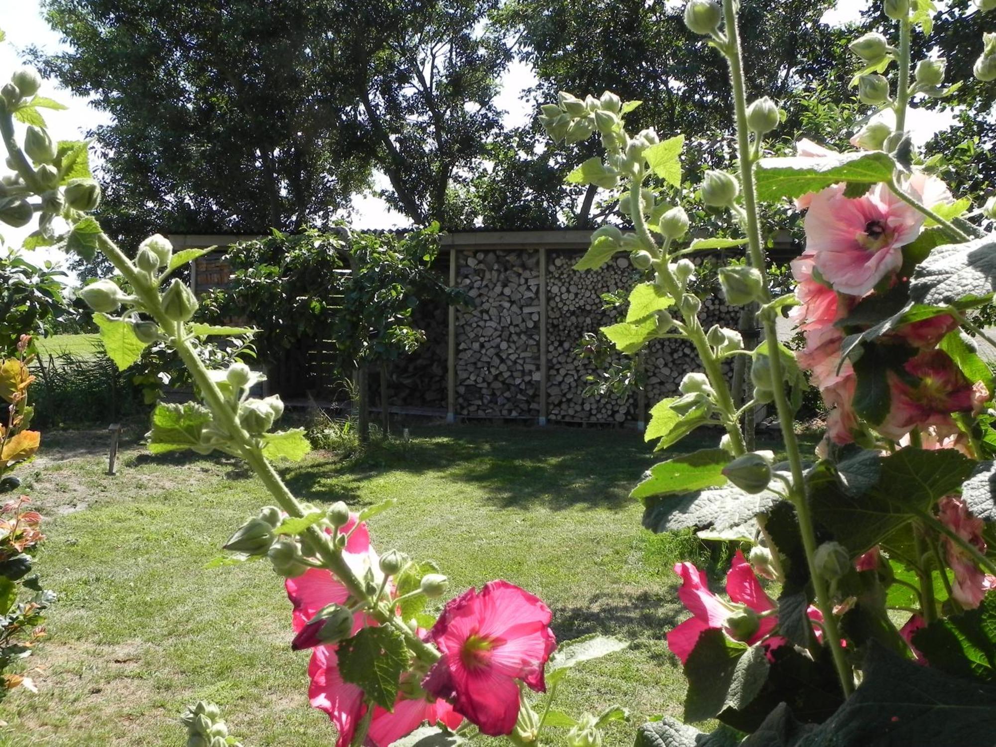 Appels En Peren Bed And Breakfast Breezand Pokoj fotografie