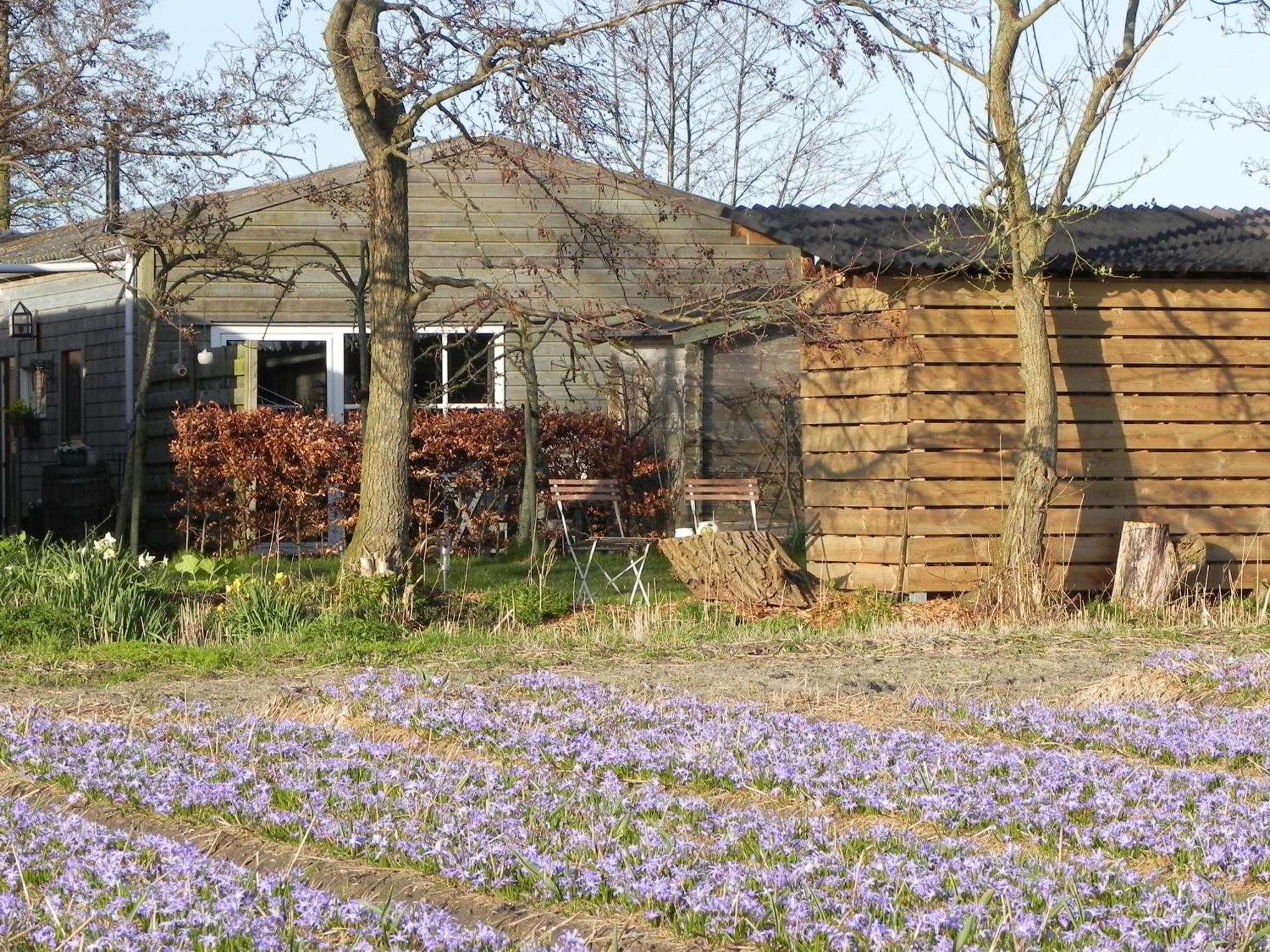 Appels En Peren Bed And Breakfast Breezand Pokoj fotografie