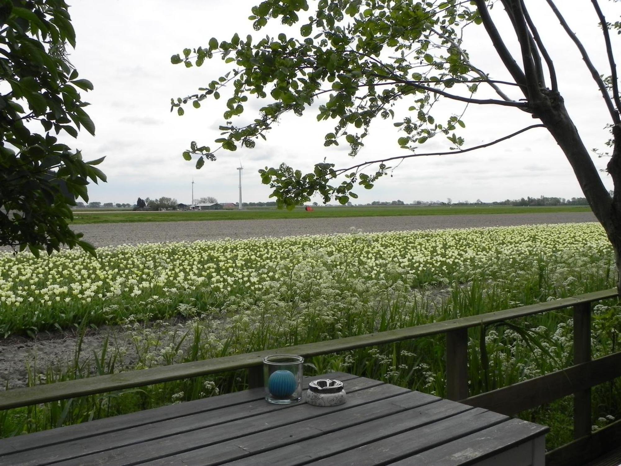 Appels En Peren Bed And Breakfast Breezand Pokoj fotografie