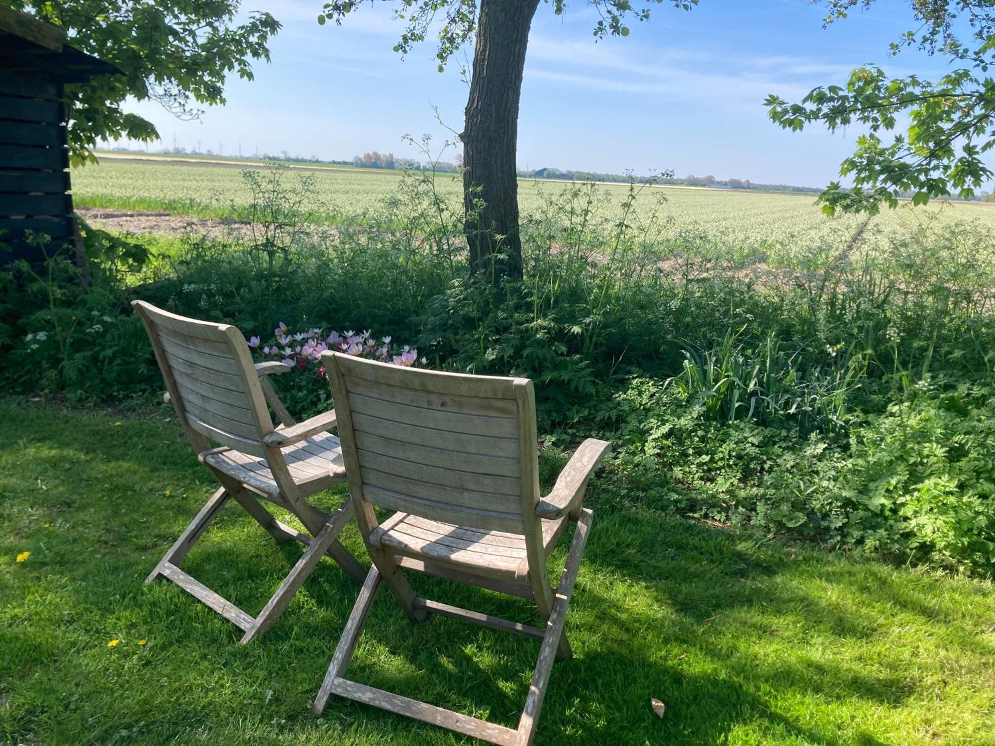 Appels En Peren Bed And Breakfast Breezand Exteriér fotografie