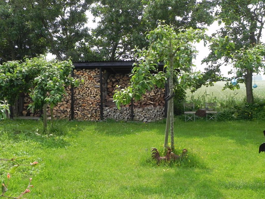 Appels En Peren Bed And Breakfast Breezand Exteriér fotografie