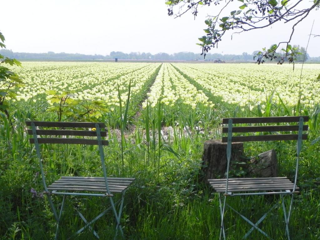 Appels En Peren Bed And Breakfast Breezand Pokoj fotografie